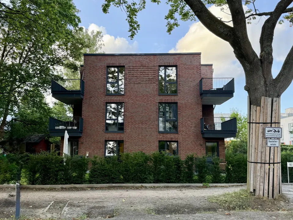 Maple – Foto