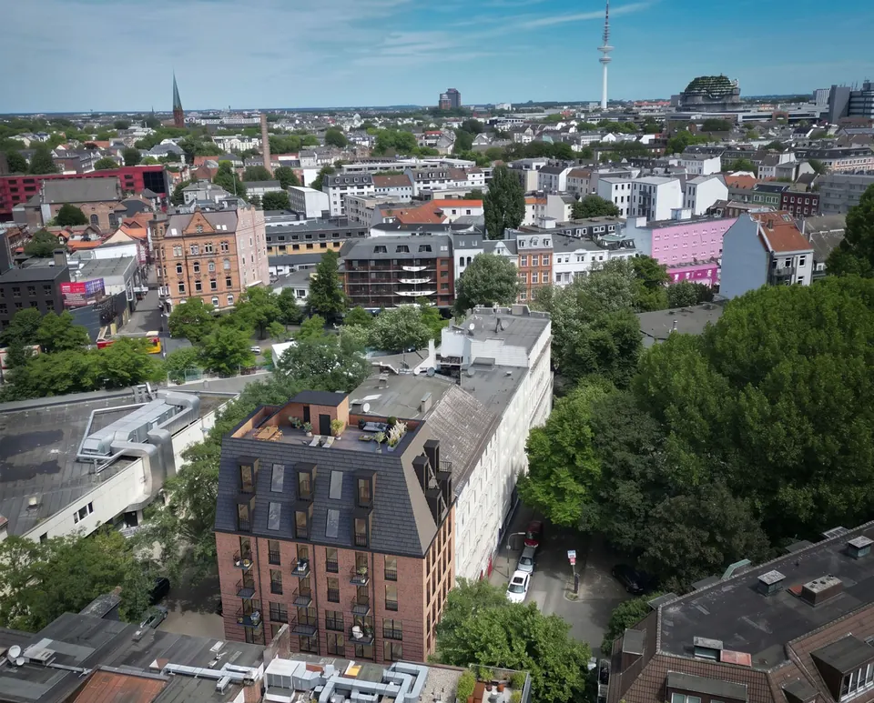 The Pauli – Bild 3